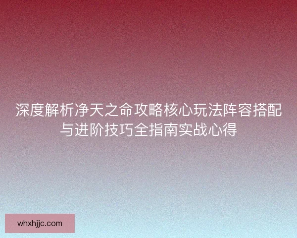 深度解析净天之命攻略核心玩法阵容搭配与进阶技巧全指南实战心得